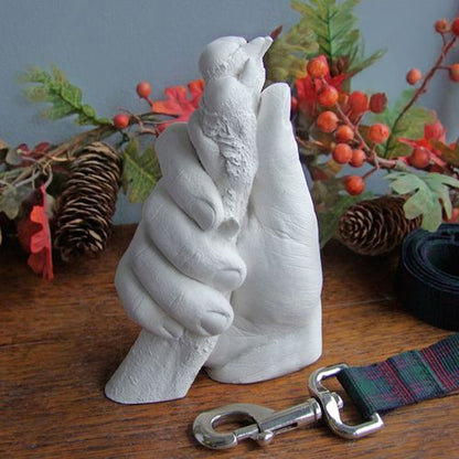 Paw Prints Forever - Create Lasting 3D Memories of Your Furry Friend!