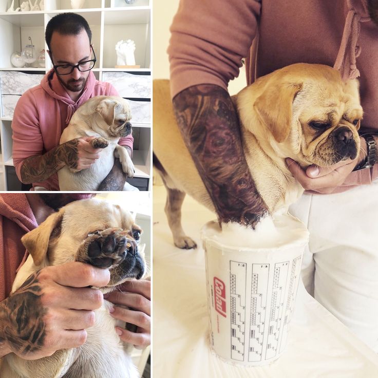 Paw Prints Forever - Create Lasting 3D Memories of Your Furry Friend!