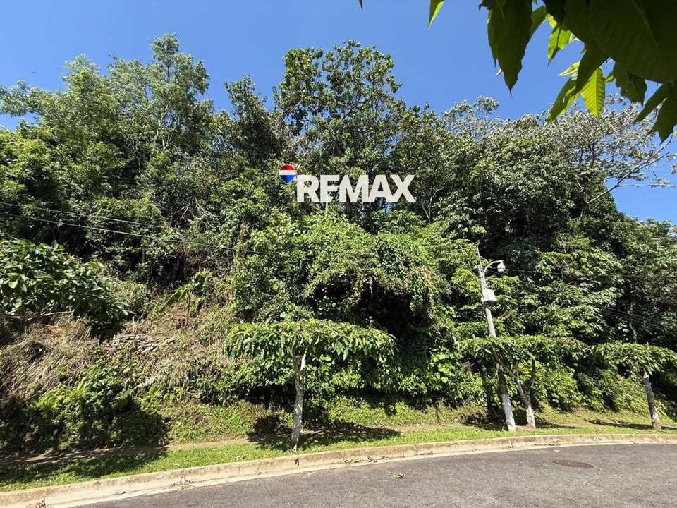 Sierra Santa Elena Scenic Mountain Lot with Ocean Views